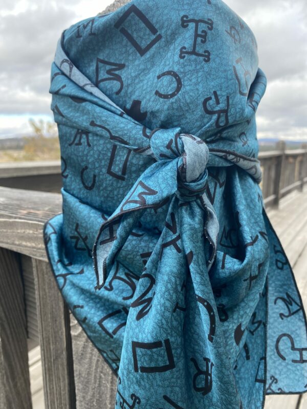 39x39" Teal Brands Charmeuse Satin Wild Rags